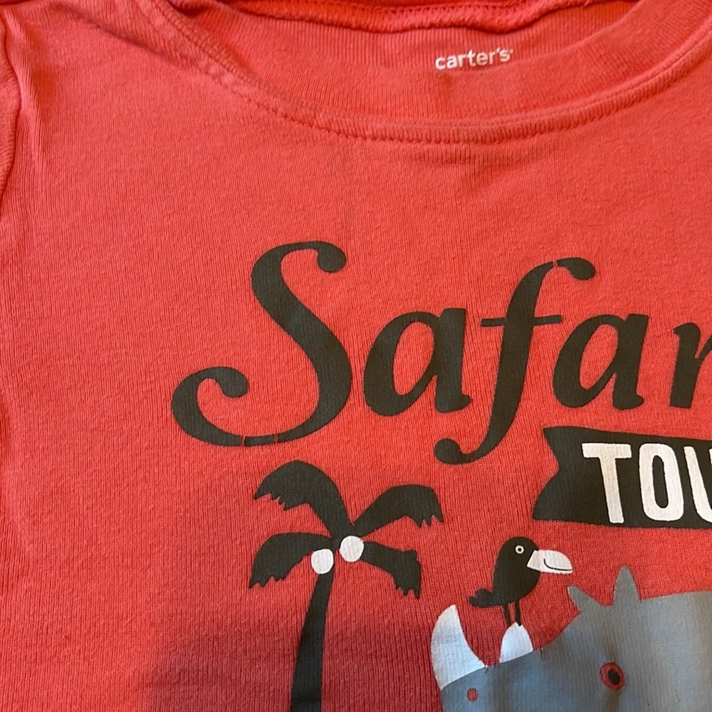 💖3/$15💖 Carters Safari Outfit